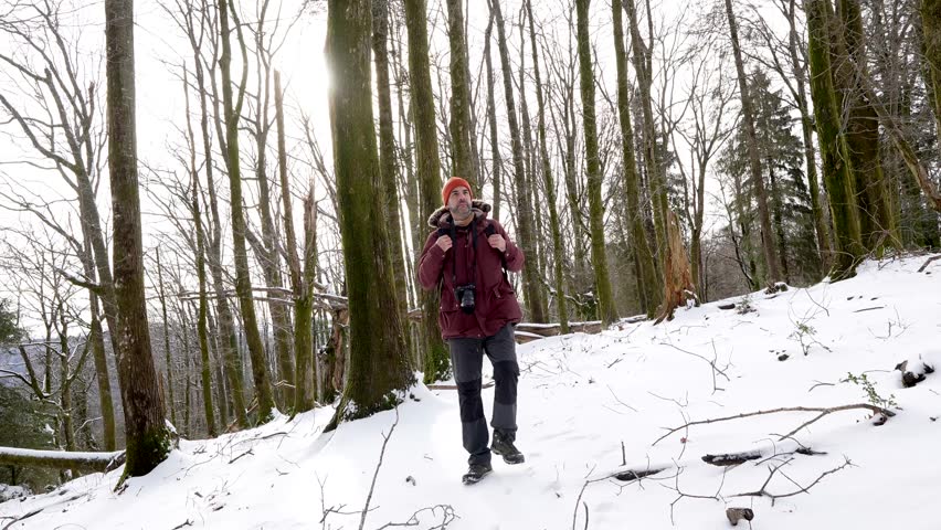 Mature man with a beard and a camera walking in a beautiful snowy forest during winter and putting on his hood to protect himself from the cold, enjoying nature and outdoor activities