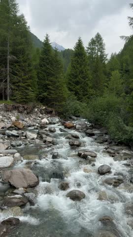 a torrent flows impetuously in the Alpine valley