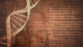 Animation of dna strand spinning over data processing and exercising strongman. global connections, well being, fitness and healthy lifestyle concept digitally generated video. - Powered by Shutterstock - Get 15% off with code: PIKWIZARD15