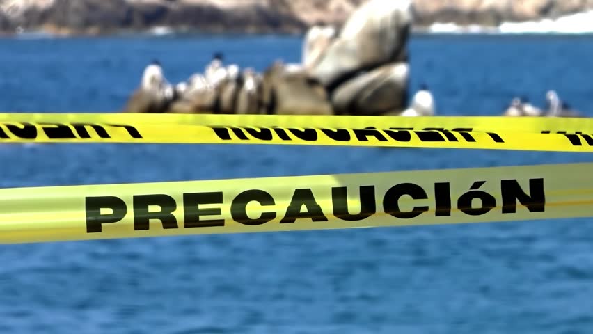 Yellow caution tape with Spanish text Precaucion across a blue ocean background.