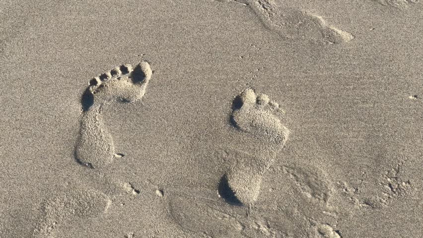 Footprints on the sand on the shoreline at a beach.