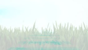 Animation of orange circles, lines and data processing over field with grass. data processing and technology concept digitally generated video. - Powered by Shutterstock - Get 15% off with code: PIKWIZARD15