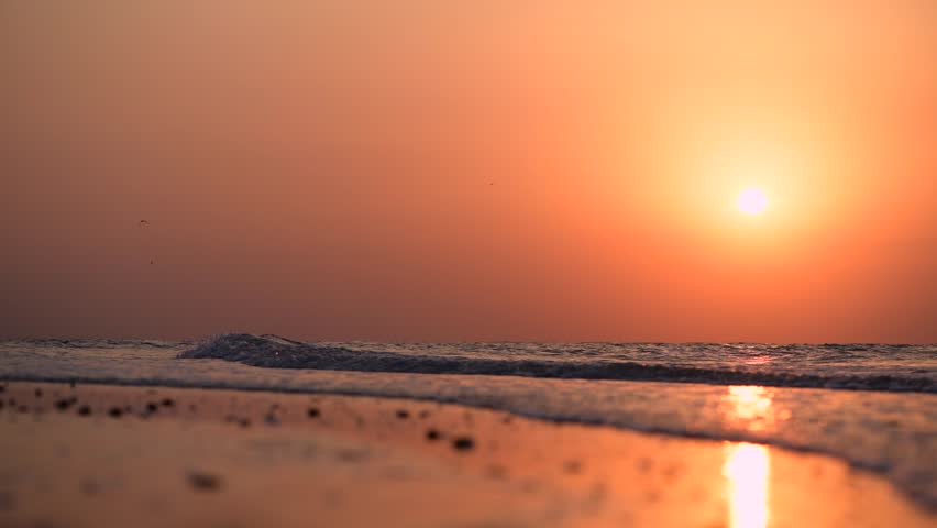 Seagull takes flight dramatically over wet sandy beach as gentle ocean waves reflect the intensely glowing orange sunrise or sunset