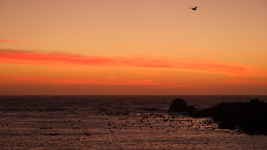 Vivid orange and warm hues of sunset horizon over ocean on Cape West Coast
