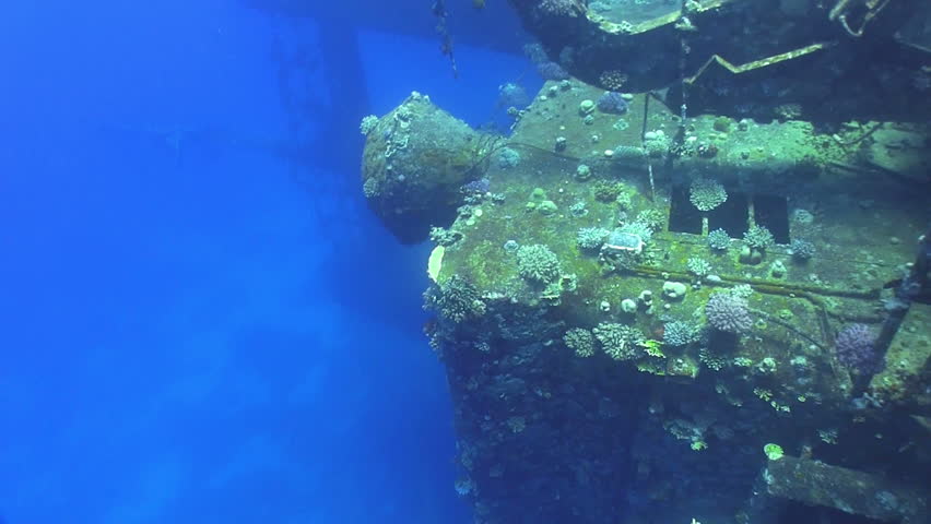 Shipwreck Salem Express in Red Sea, bottom of the sea