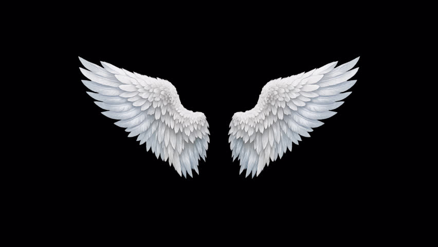 Angel wings – looped with alpha channel.