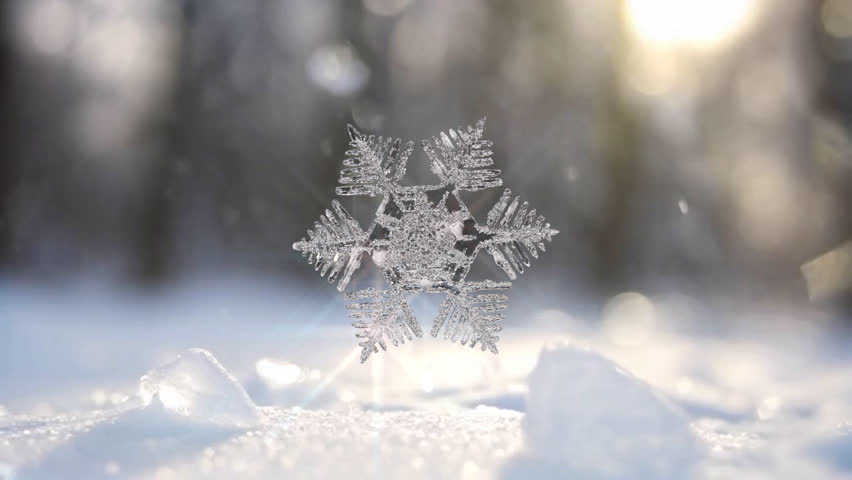 Three-dimensional snowflake ice crystal with transparent channels