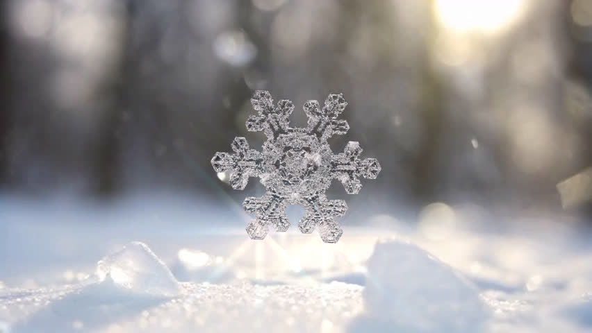 Three-dimensional snowflake ice crystal with transparent channels