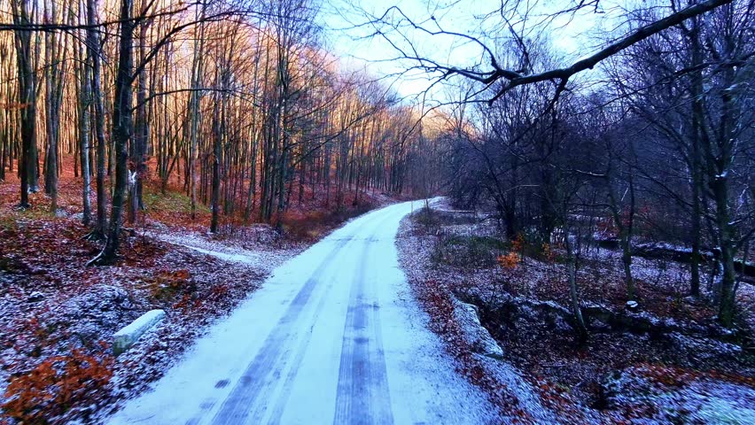 Winter scene of a frozen road winding through Dobrovat Forest in Iasi County, Romania.