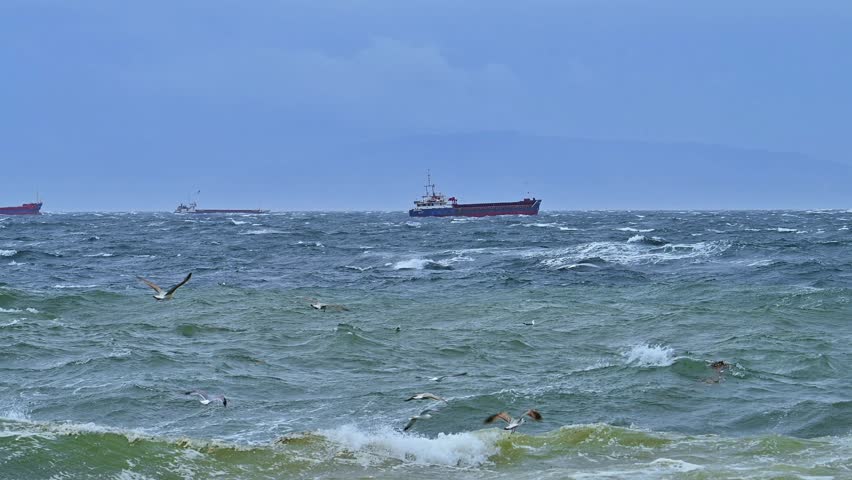 Towering Waves, Struggling Ships, and Screaming Seagulls in a Violent Storm