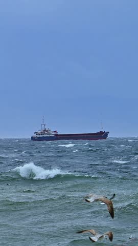 Towering Waves, Struggling Ships, and Screaming Seagulls in a Violent Storm