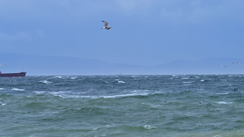 Towering Waves, Struggling Ships, and Screaming Seagulls in a Violent Storm
