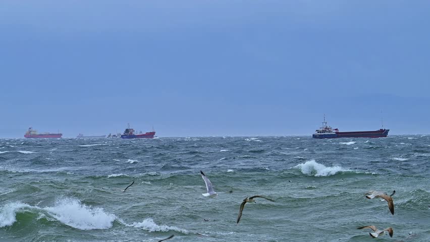 Towering Waves, Struggling Ships, and Screaming Seagulls in a Violent Storm