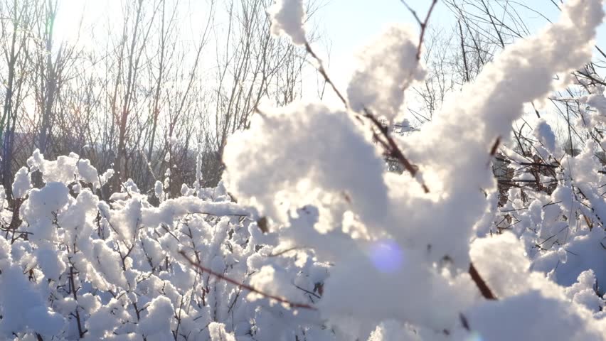 Amazing frozen nature background. A calm, frozen winter scene. Ethereal sunrise, sunlight. Winter wonderland. Idyllic north nature	