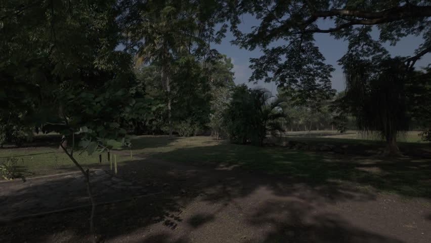 Static shot of a lush green field surrounded by trees with a small pond in the background, dense vegetation and natural shade creating a calm outdoor landscape.