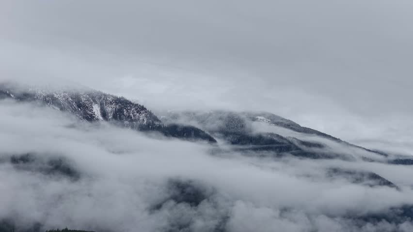 Misty Mountain Peaks and Pine Forests Shrouded in Fog in British Columbia, Canada