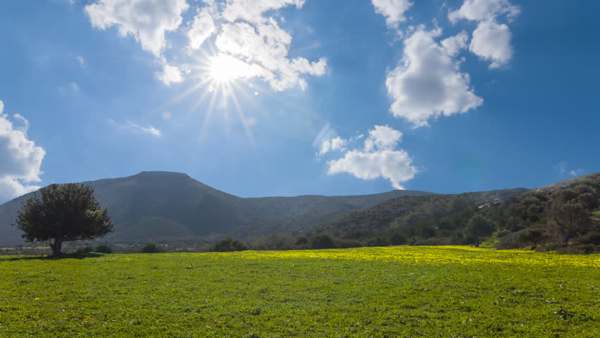 green meadow under a sparkle sun time lapse scene