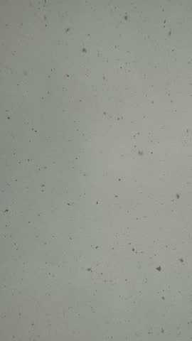 Soft snowflakers falling fron the sky against a light background.