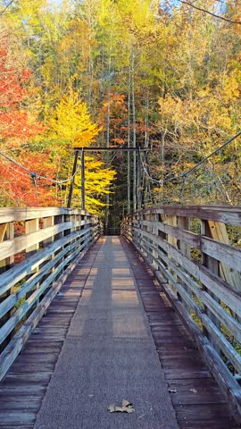 Scenic suspension bridge spanning a river on a sunny autumn day, surrounded by colorful fall foliage and vibrant forest trees. The calm and picturesque landscape
