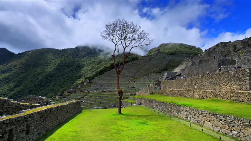 Shihuahuaco tree Machu Picchu sunny blue sky clouds morning Peru Perú aerial drone mount Huayna Picchu rainy season lush green Peruvian Andes Inca Temple Sanctuary jungle tourist circuit static