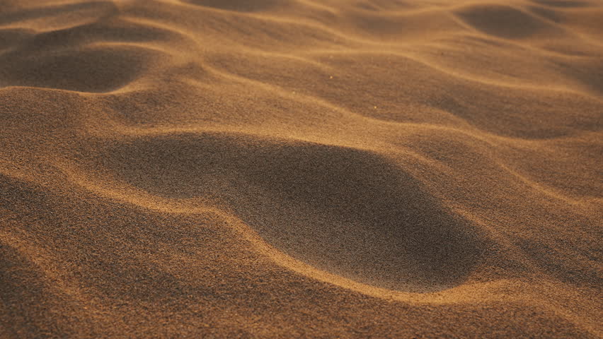 Golden brown desert sand ripples in morning sunlight.