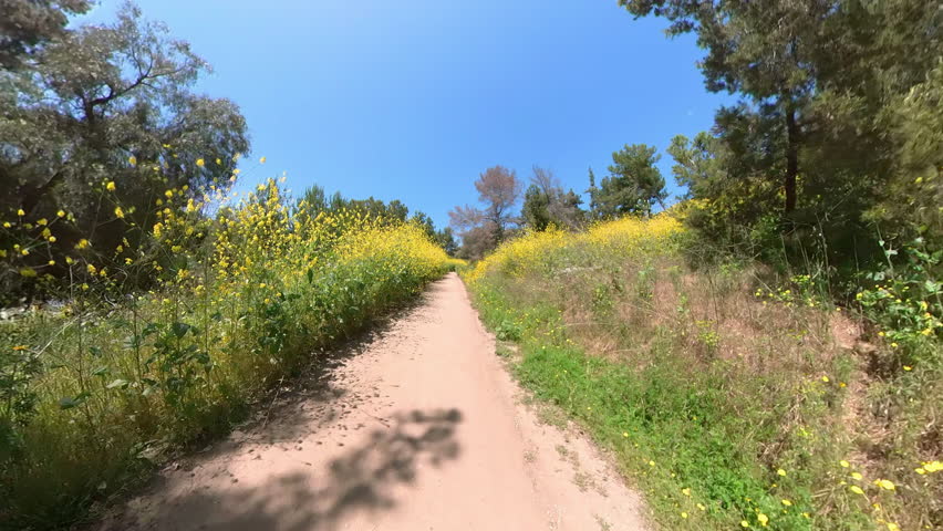 California Super Bloom Mountain Bike Through Wild Flowers Front View 03.mp4