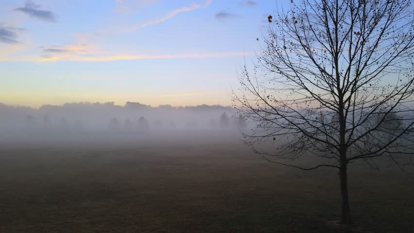 A serene and atmospheric morning drone shot reveals a misty field with silhouetted trees against a beautiful sunrise sky