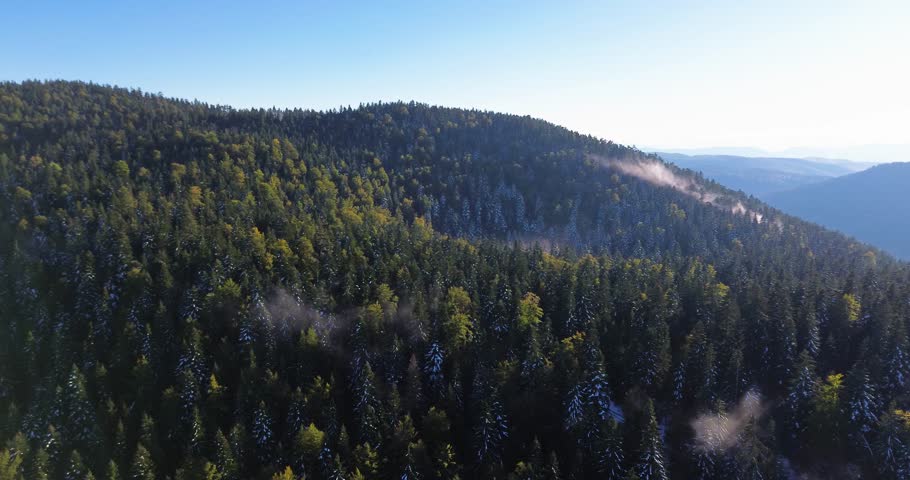 Sunlight causing mist and fog to rise from a dense, snowy pine forest on a mountain hillside