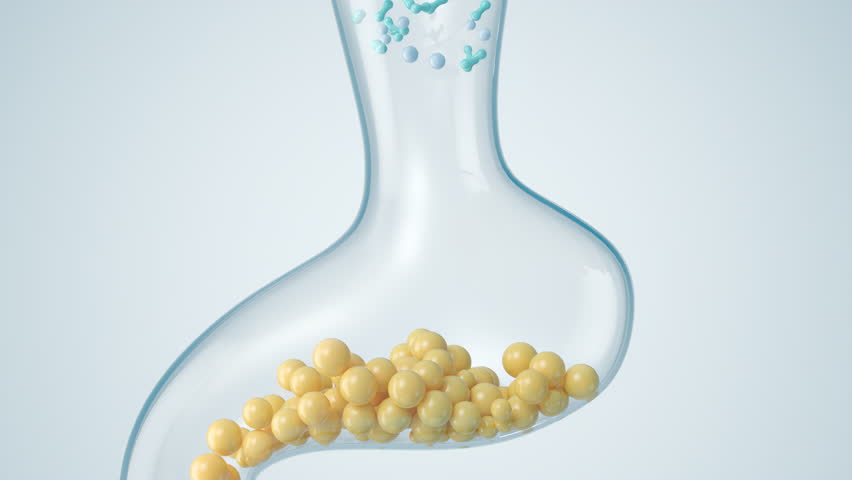 3D animation shows the stomach containing beneficial bacteria that aid in bowel movements and digestion in the intestines.