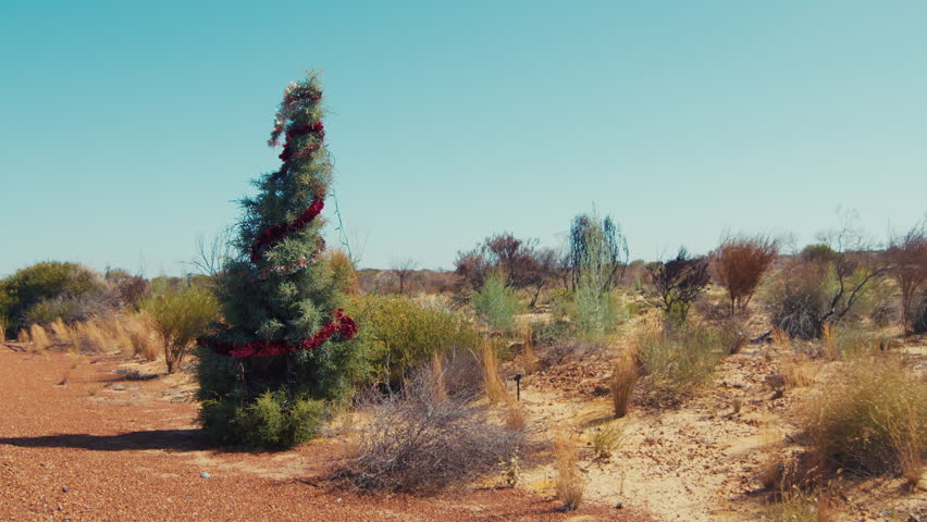 A tree decorated with red ornaments stands amidst dry bushes and open land under a blue sky