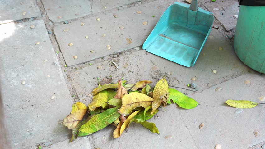 Collecting dry leaves and wax apples with a traditional Khmer broom into a green plastic dustpan, Cambodia