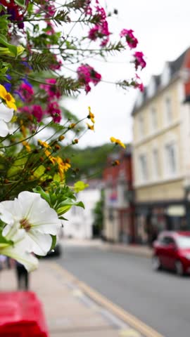 Colorful hanging flowers in the foreground with a soft bokeh effect on a city road.