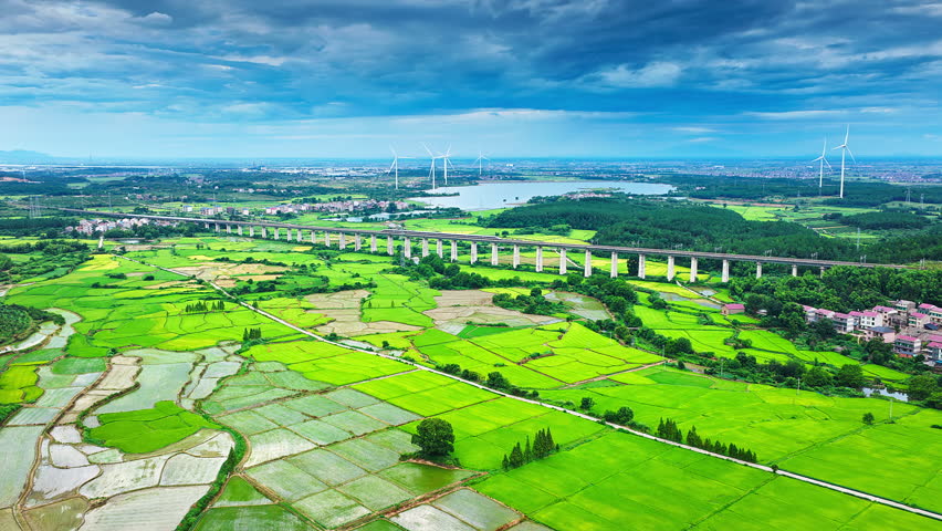 Aerial shot of green rice fields and high-speed railway viaduct with wind turbines scenery in rural China