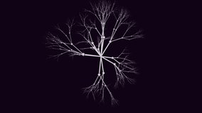 Seamlessly looping 3D animation of a recursive neuronal network cluster suspended in a deep void. Complex fractal dendrites float and rotate while transmitting electric synaptic pulses from the dense core to the delicate tips. The structure resembles a ghostly biological nervous system or an advanced artificial intelligence data model. Ethereal bone-white geometry with cyan energy bursts. Ideal for medical science visualization, biotech research, and deep tech backgrounds. Rendered in high-resolution 4K. - Powered by Shutterstock - Get 15% off with code: PIKWIZARD15