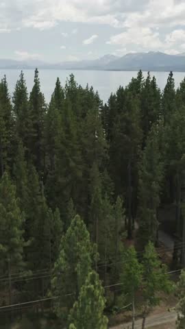 An aerial shot rises above a dense pine tree forest to reveal a massive, serene lake stretching to the horizon, bordered by distant, snow capped mountains under a cloudy sky.