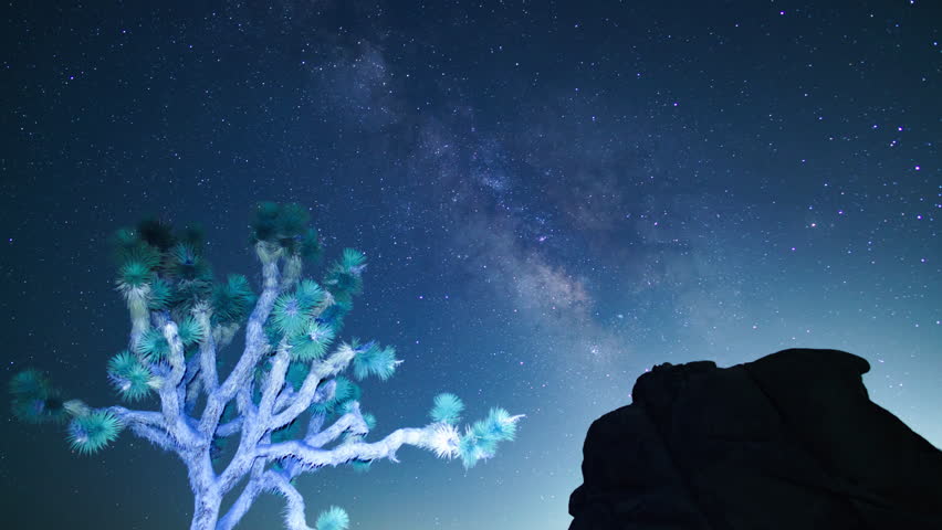 Joshua Tree National Park Milky Way Galaxy Over Intersection Rock and Joshua Tree in South Sky 24mm Tilt Up Astrophotography Time Lapse California USA