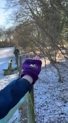 A European Robin Mid Flight Feeding From A Childs Hand With Frosty Trees In Snowy Winter Background  


