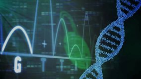 Animation of dna strand spinning over scientific data processing on blue background. Global science data processing connections and digital interface concept digitally generated video. - Powered by Shutterstock - Get 15% off with code: PIKWIZARD15