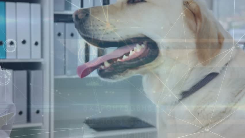 Animation of connected dots over midsection of female vet writing dog medical reports in notepad. Digital composite, multiple exposure, communication, pet, animal and healthcare concept.