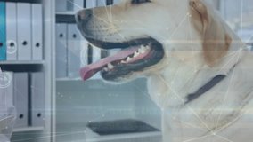 Animation of connected dots over midsection of female vet writing dog medical reports in notepad. Digital composite, multiple exposure, communication, pet, animal and healthcare concept. - Powered by Shutterstock - Get 15% off with code: PIKWIZARD15