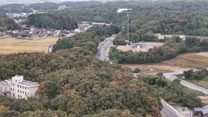 A forested area with a road running through it. The road is surrounded by trees and there are some buildings in the background