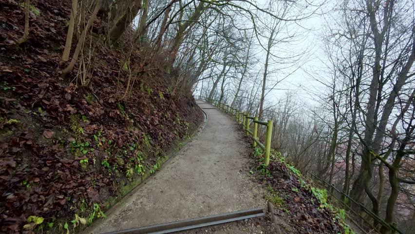A narrow hiking path leads up a forested hillside next to a stone retaining wall covered in green moss. The trail features a rustic wooden railing and bare winter trees on a steep slope under an