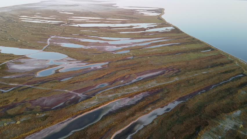 Aerial landscape of salt lakes and marshes on Dzharylhach island, Ukraine. Flight over red vegetation, salicornia and small water channels near the sea. Wild nature textures and patterns from above. Summer morning