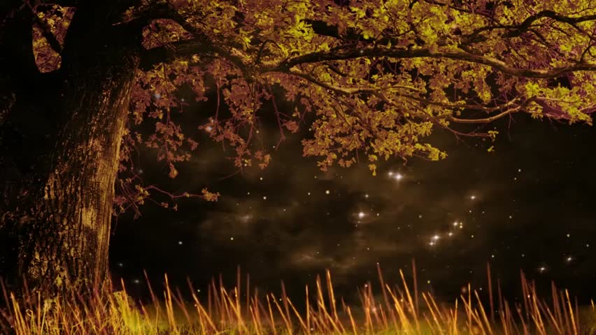 A serene night scene in a forest, featuring a large tree with autumn leaves and a gentle glow of fireflies.