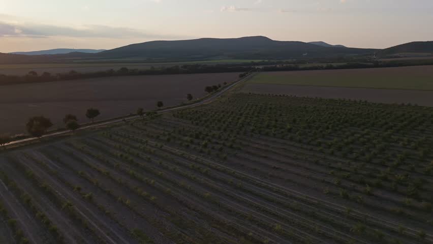 Scenic drone fly over cultivated fields split by an empty country road during sunset near the Zemplén Mountains in Northern Hungary.