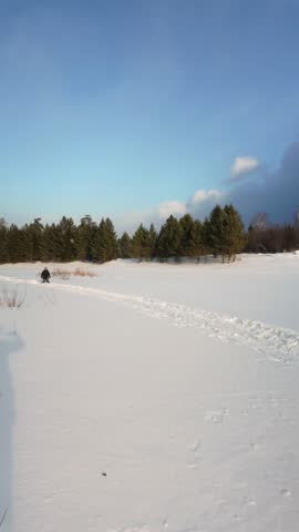 Frozen Grasslands Crossed By Winding Trails, Cold Winter Landscape Features Distant Woods Under Clear Sky, Serene Snowy Field With Intersecting Pathways And Peaceful Distant Woodland