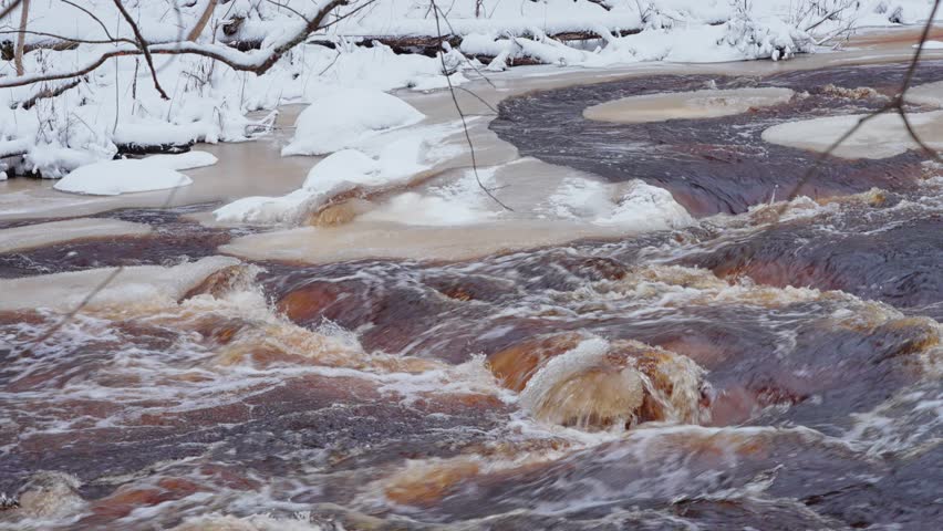 4k, Close-up view of the turbulent stream and rapids of the Roshchinka River with brown water, at daytime, Lindulovskaya grove, Leningrad Oblast, Russia