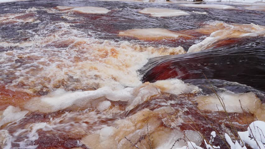 4k, Slow motion, Close-up view of the turbulent stream and rapids of the Roshchinka River with brown water, at daytime, Lindulovskaya grove, Leningrad Oblast, Russia