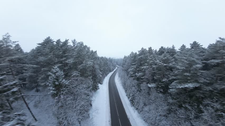 Dynamic aerial FPV drone footage flying above a winding road through a dense snow-covered pine forest in winter. Fast, cinematic motion with smooth curves and scenic winter atmosphere.