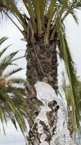 A stream of water with a palm tree in the background.
